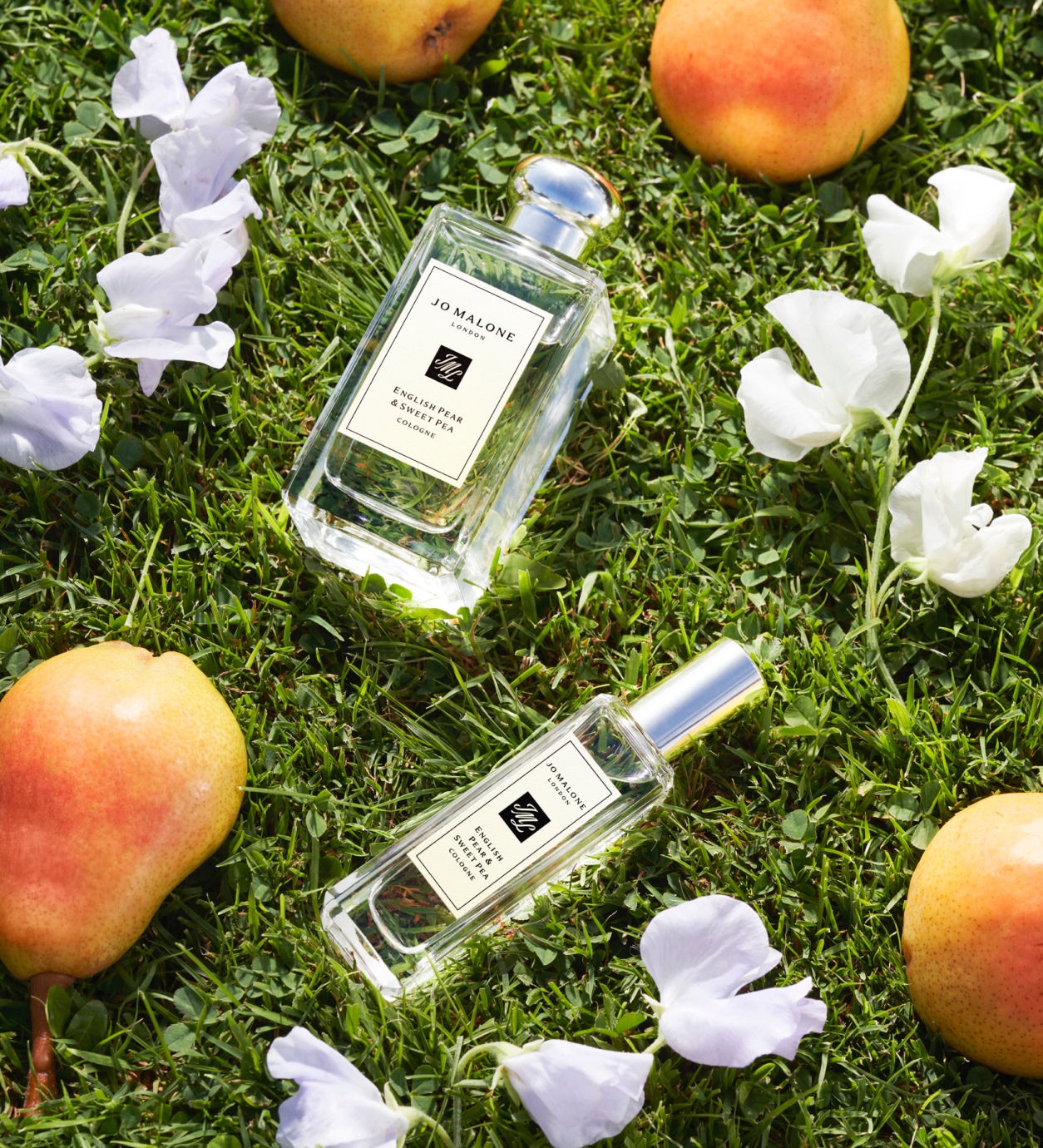 Pink sweet pea flowers and English Pear & Sweet Pea cologne 100ml bottle in front of big pear prop, on golden rocky hillside.